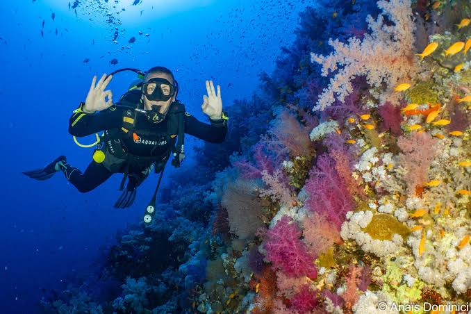 Red Sea Diving