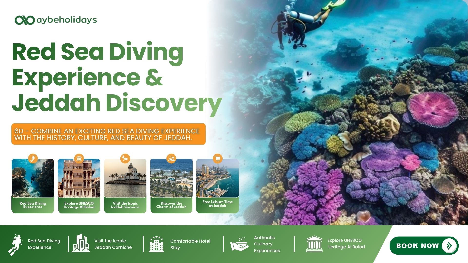 Red Sea Diving Experience & Jeddah Discovery main photo